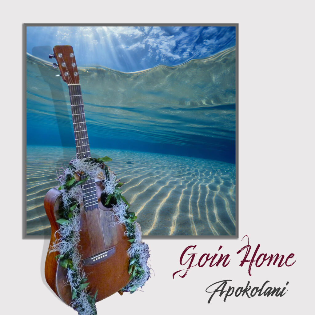 Kī hoalu Slack key album Apokolani originals